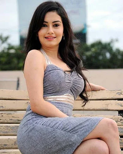 Call Girls in jodhpur
